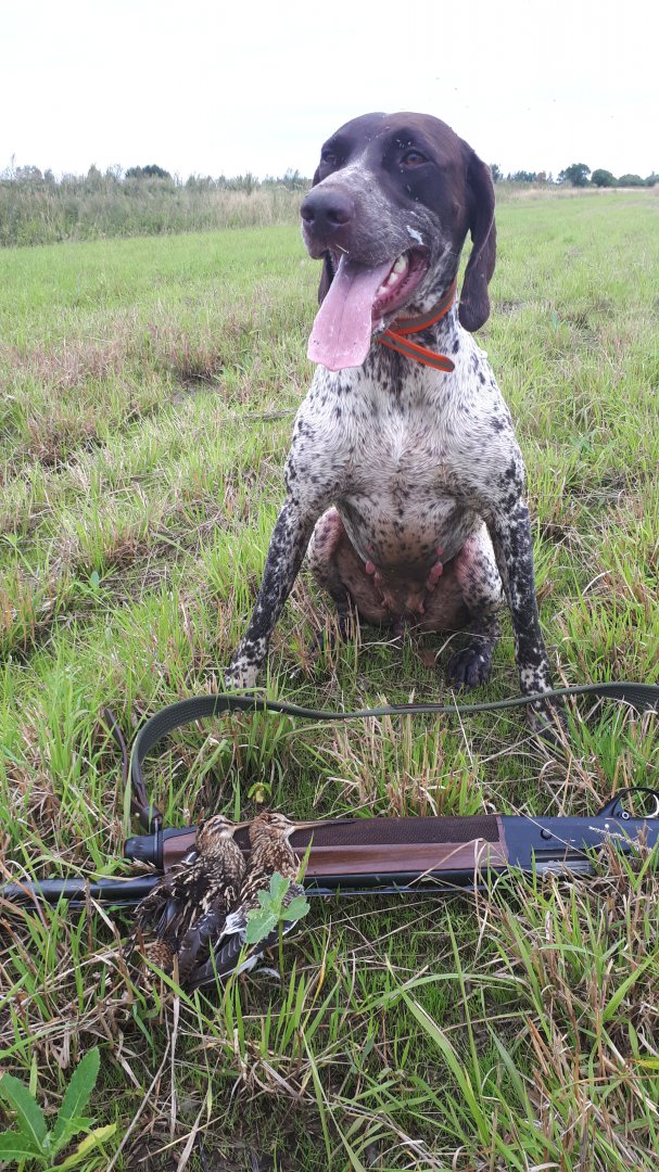 IMG-20190901-WA0024.jpeg