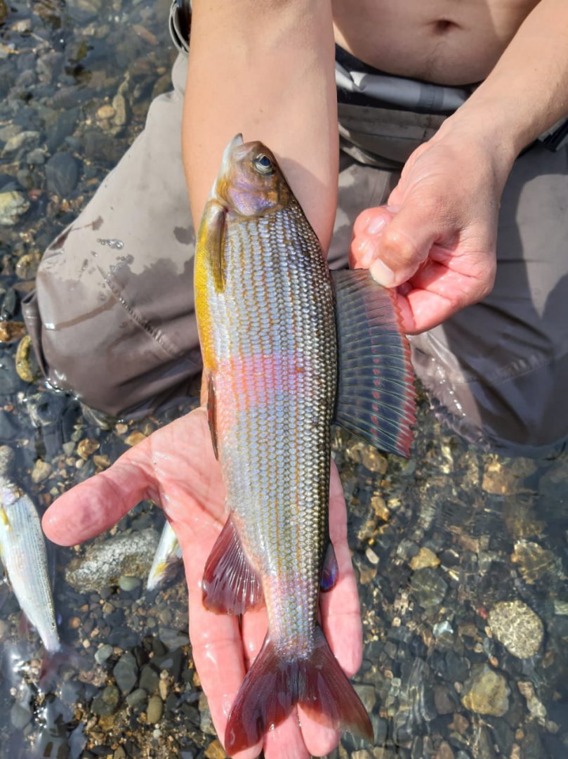 IMG-20190909-WA0030.jpg