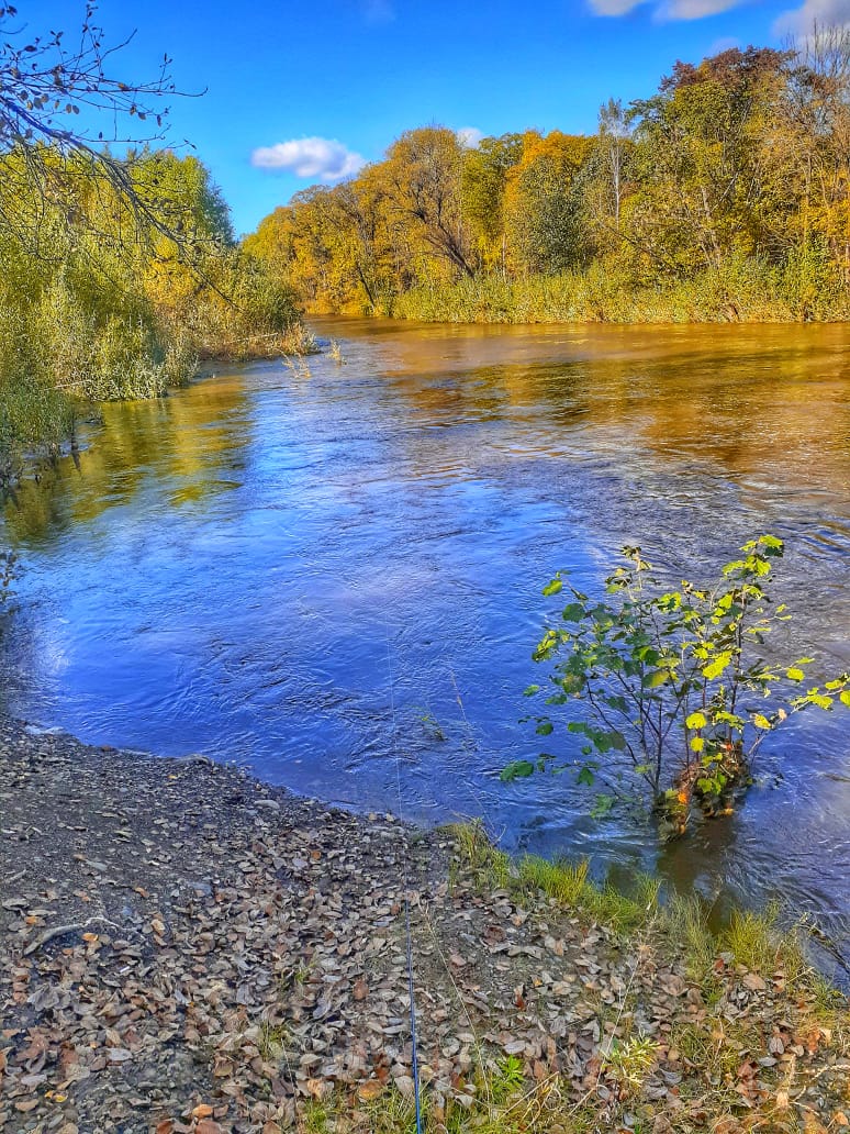 IMG-20190922-WA0007.jpg