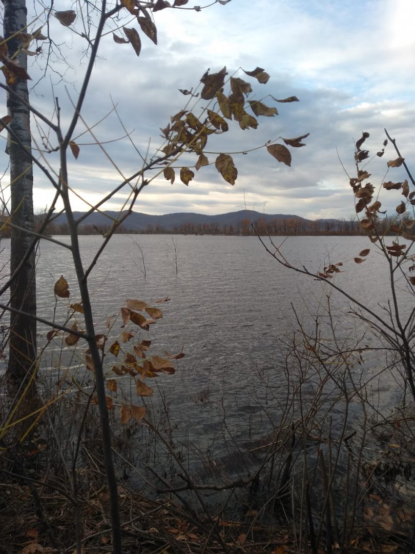 IMG-20191007-WA0154.jpg