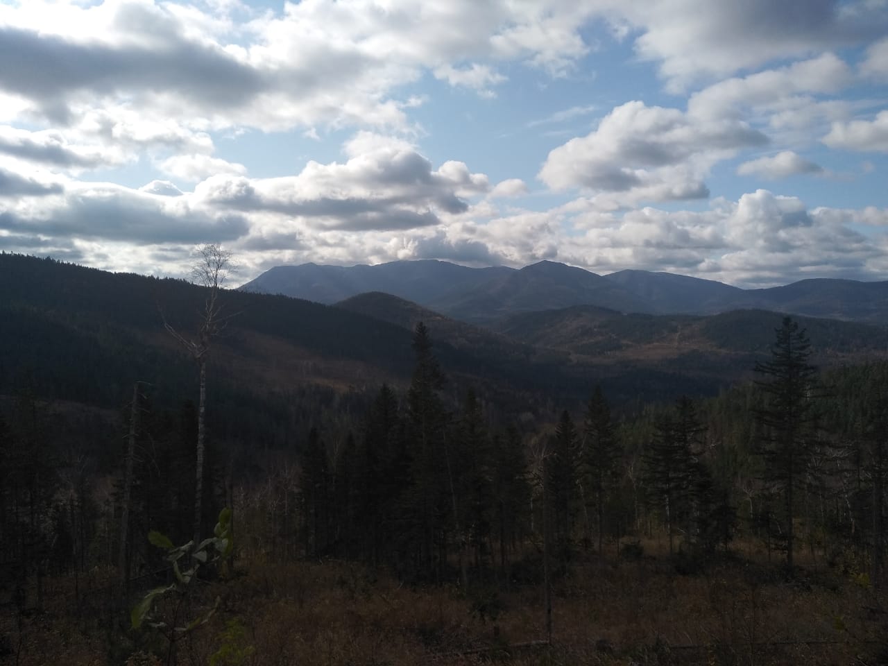 IMG-20191009-WA0079.jpg