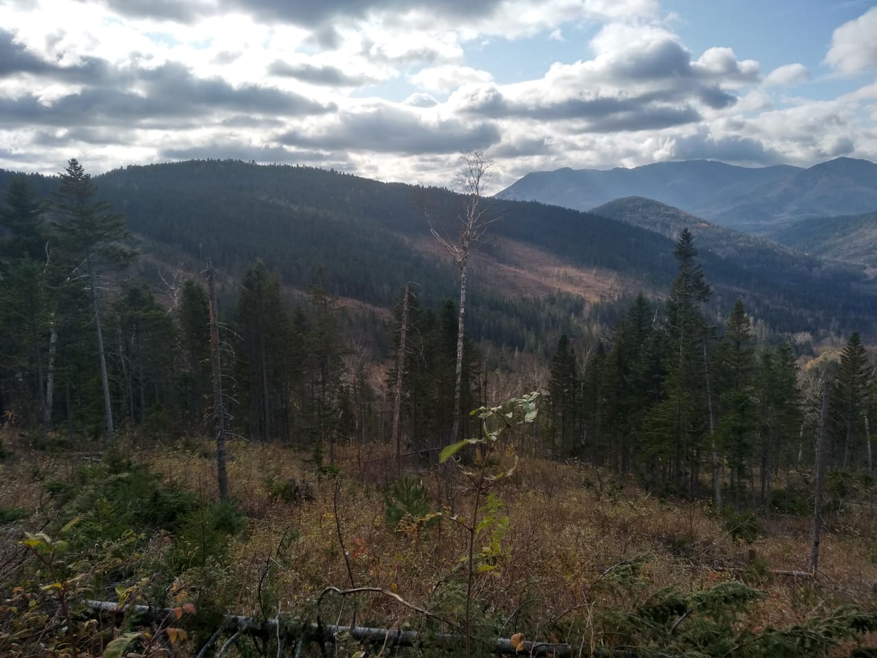 IMG-20191009-WA0081.jpg