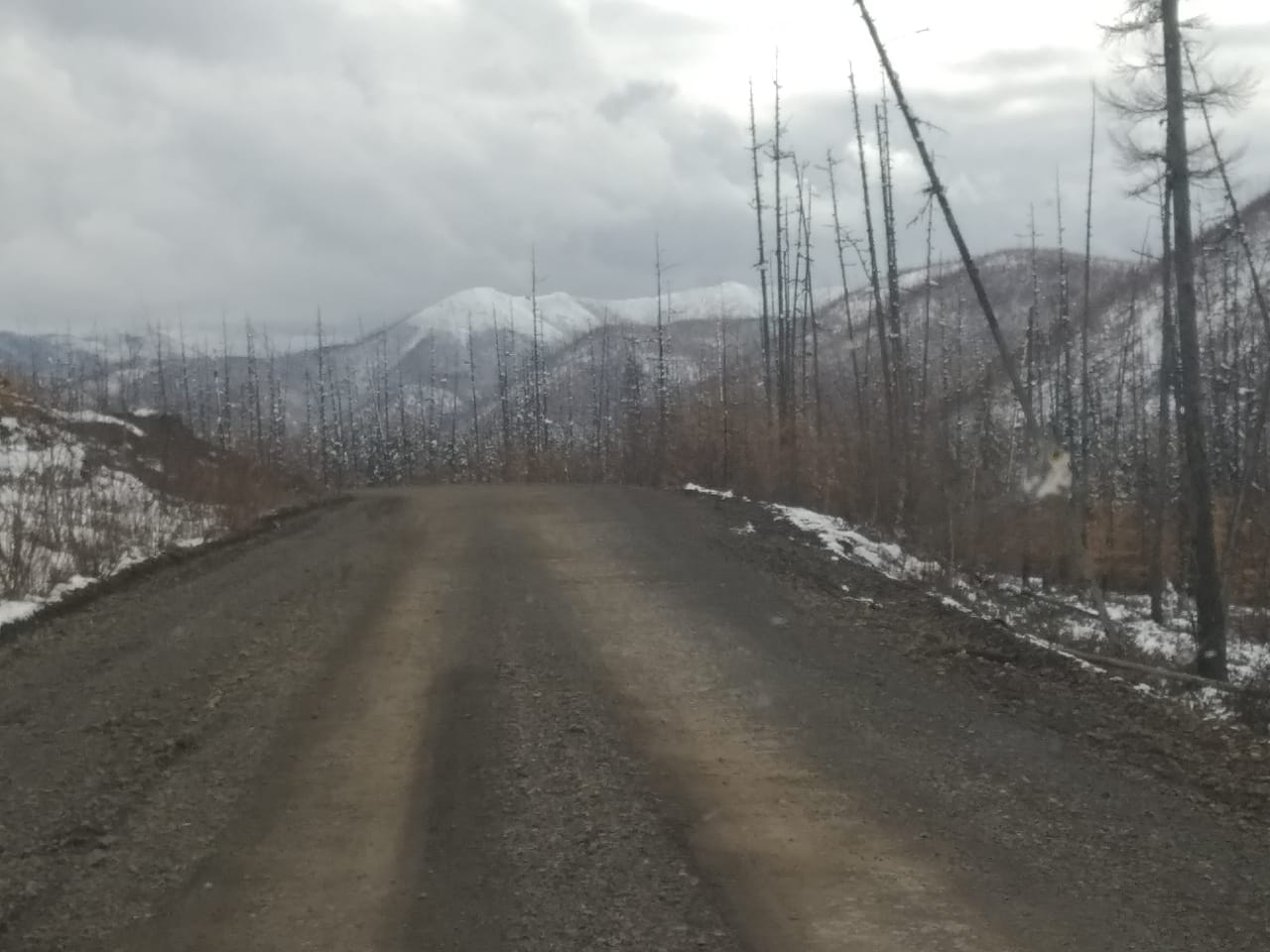IMG-20191011-WA0044.jpg