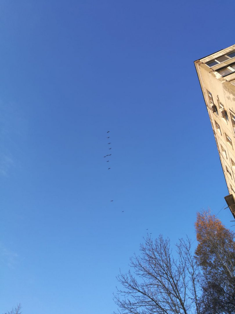 IMG-20191016-WA0000.jpg
