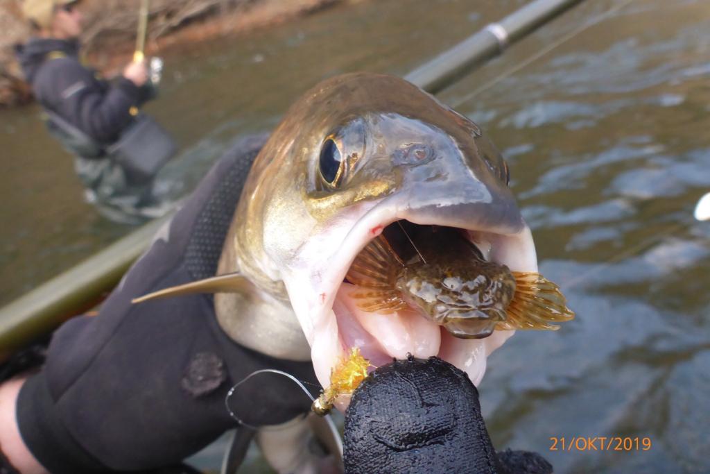IMG-20191024-WA0002.jpg