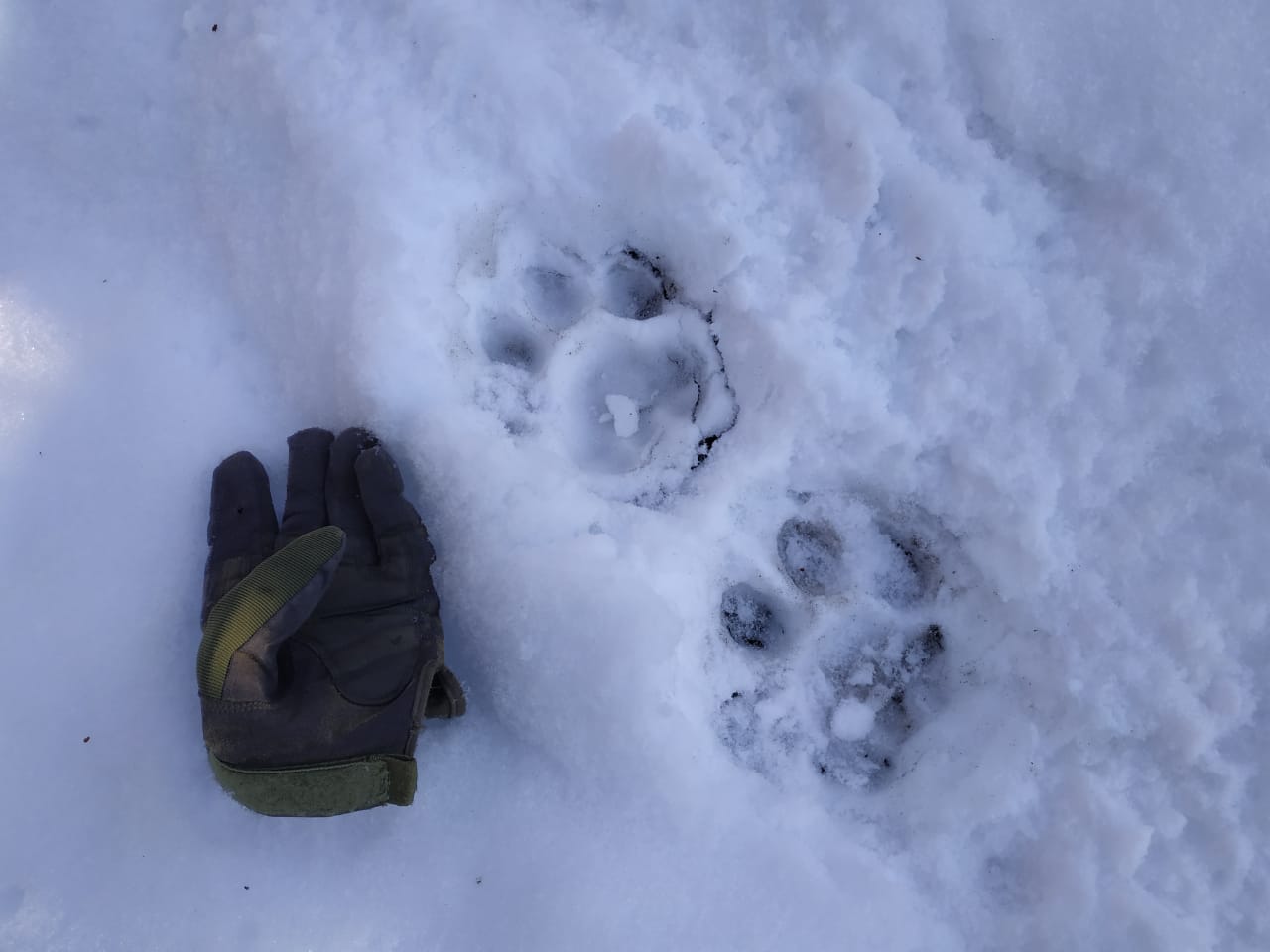 IMG-20191108-WA0055.jpg