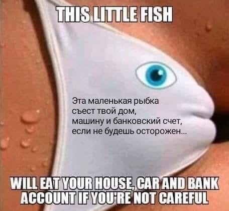 IMG-20191114-WA0011.jpg