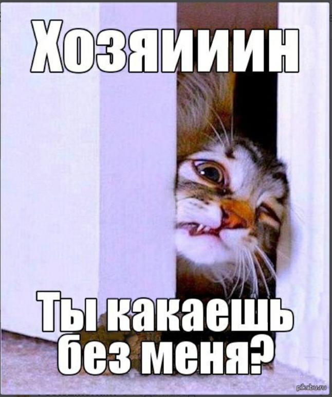 IMG-20191117-WA0004.jpg