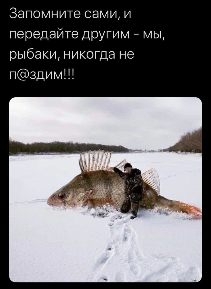 IMG-20191230-WA0023.jpg