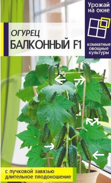 IMG-202.jpg