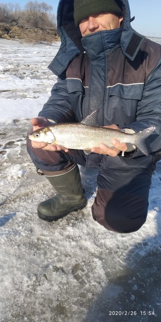 IMG-20200226-WA0006.jpg IMG-20200226-WA0006.jpg