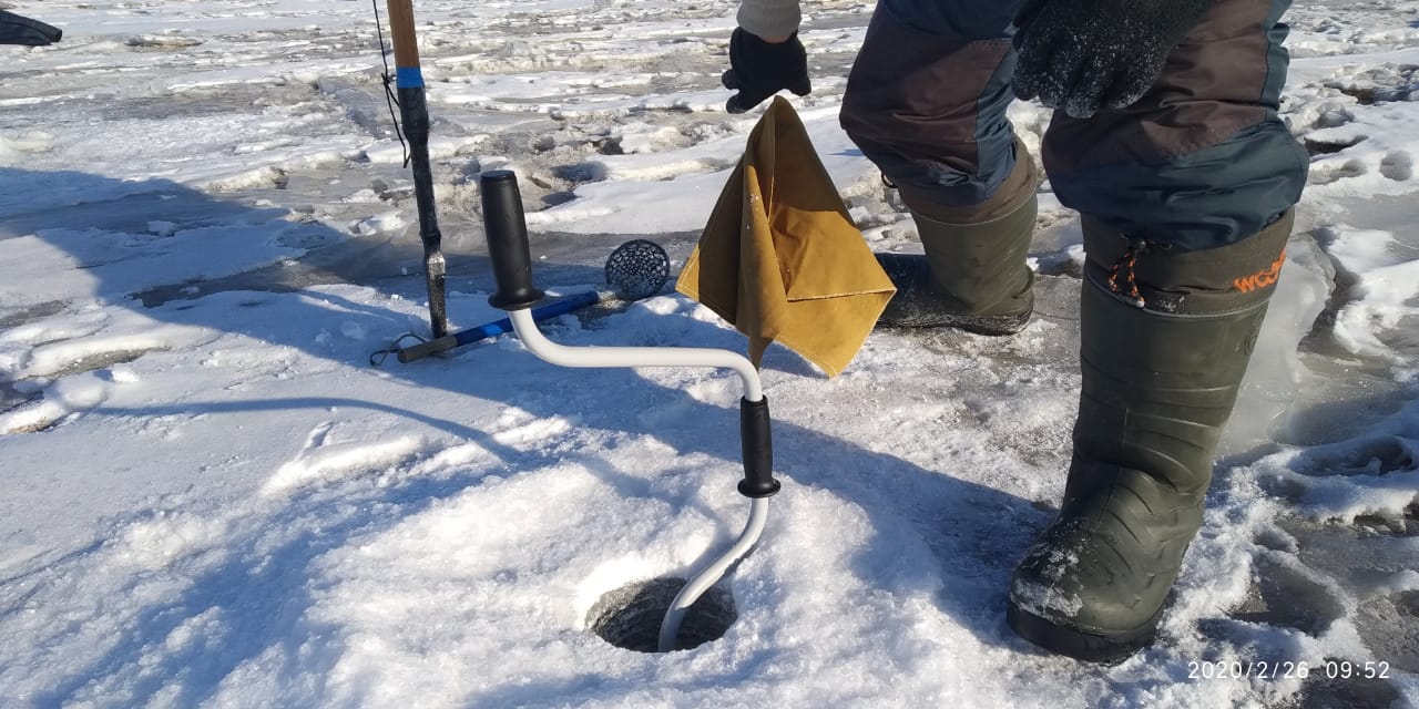 IMG-20200226-WA0008.jpg IMG-20200226-WA0008.jpg