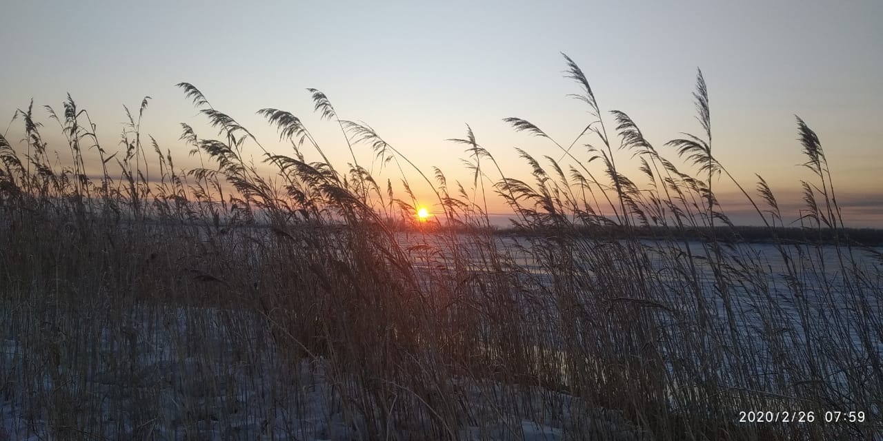 IMG-20200226-WA0013.jpg IMG-20200226-WA0013.jpg