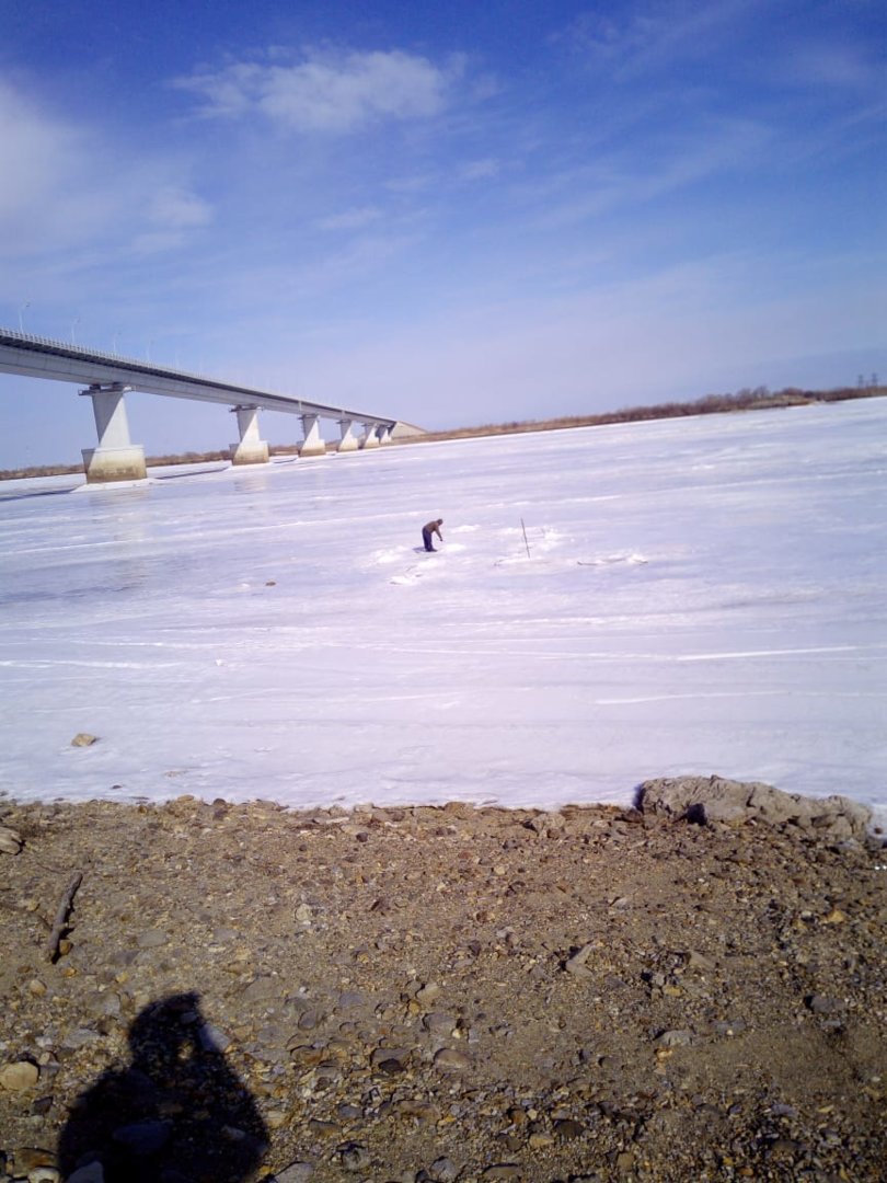 IMG-20200322-WA0005.jpg