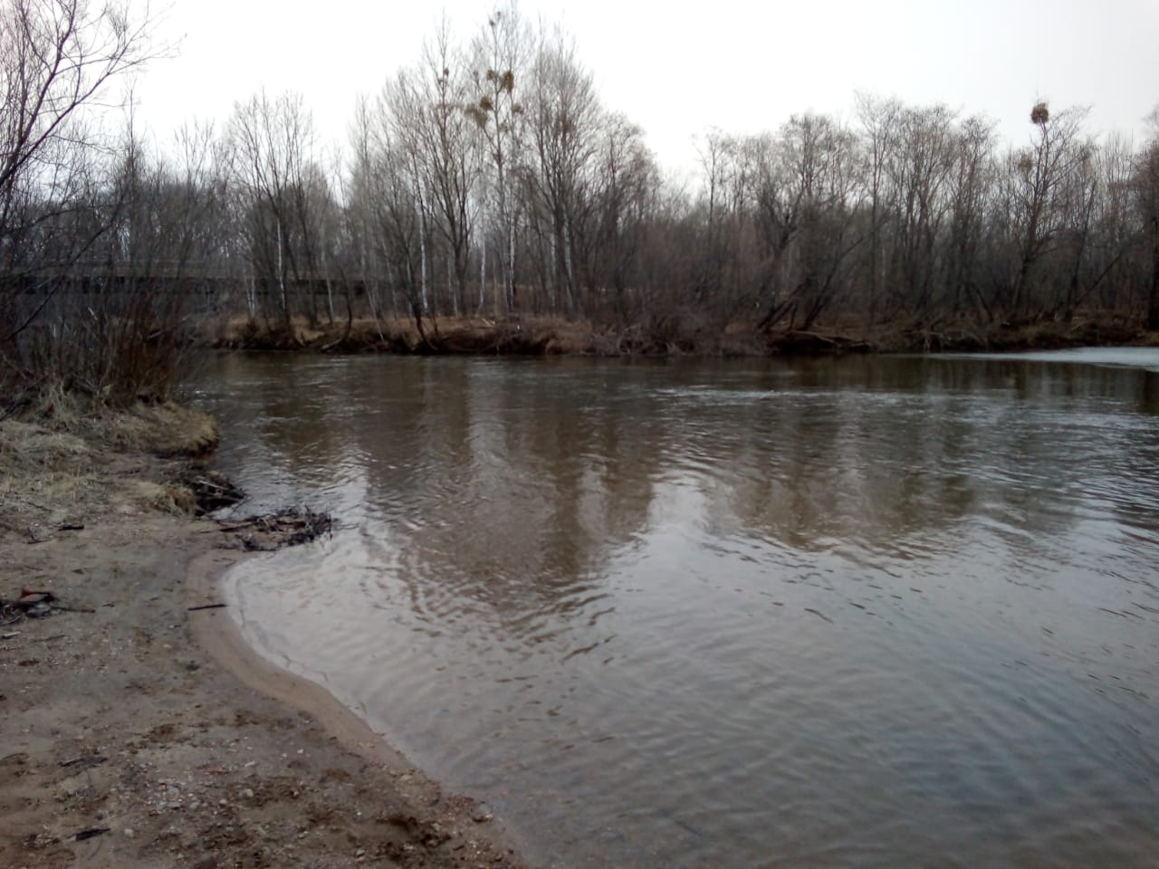 IMG-20200408-WA0038.jpg