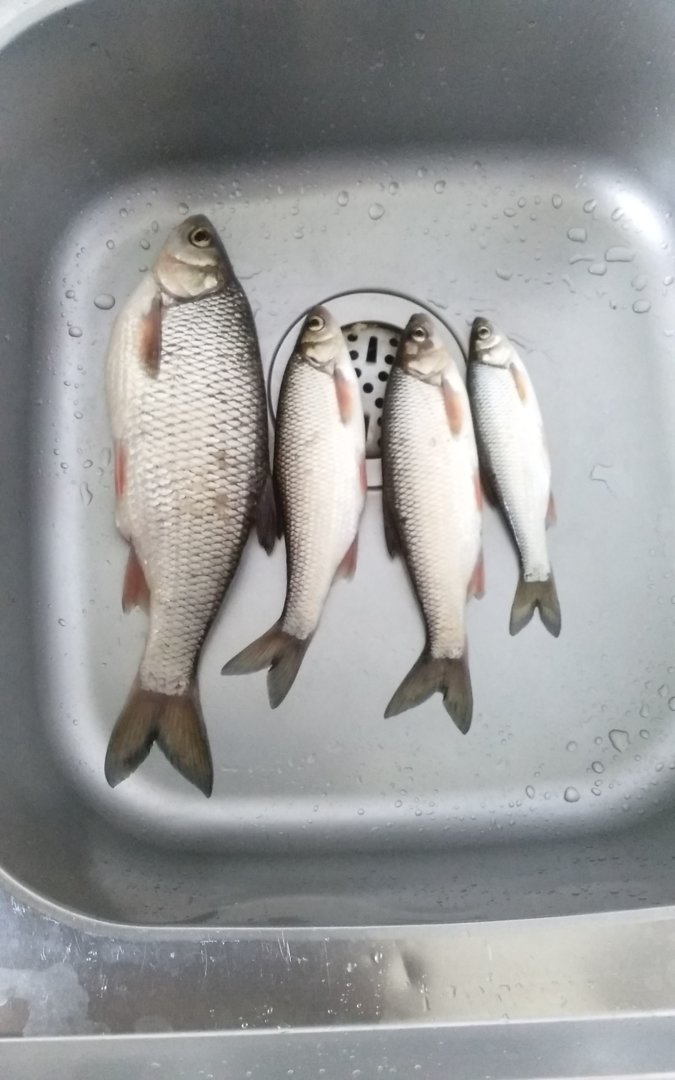 IMG-20200427-WA0000.jpeg