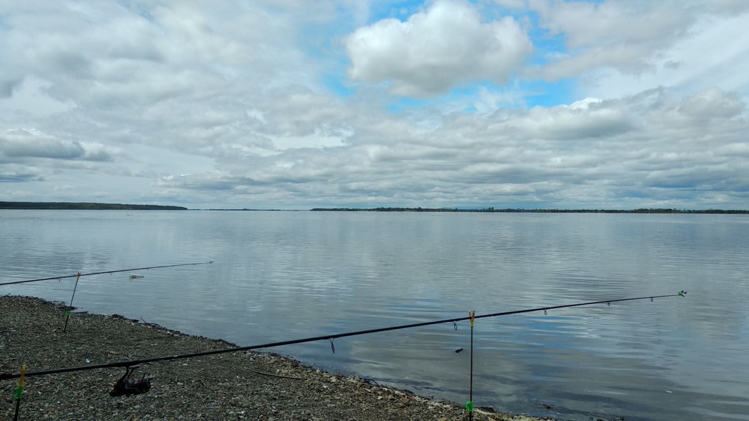IMG-20200514-WA0008.jpeg