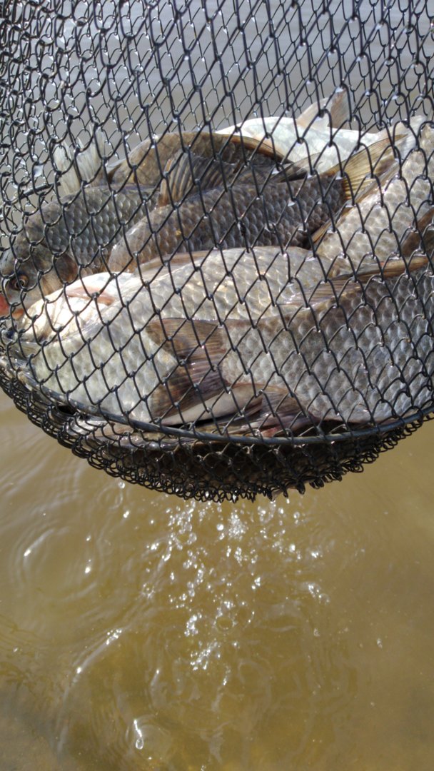 IMG-20200516-WA0009.jpeg