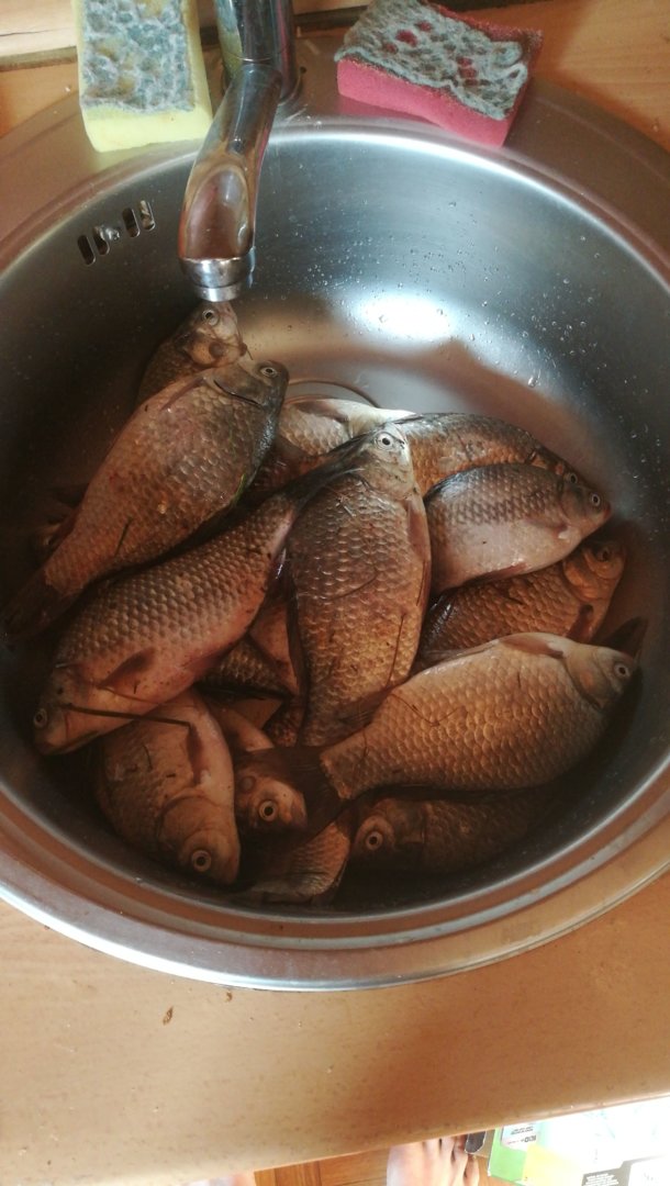 IMG-20200531-WA0018.jpeg