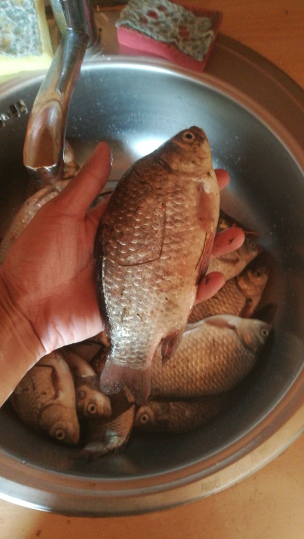 IMG-20200531-WA0020.jpeg