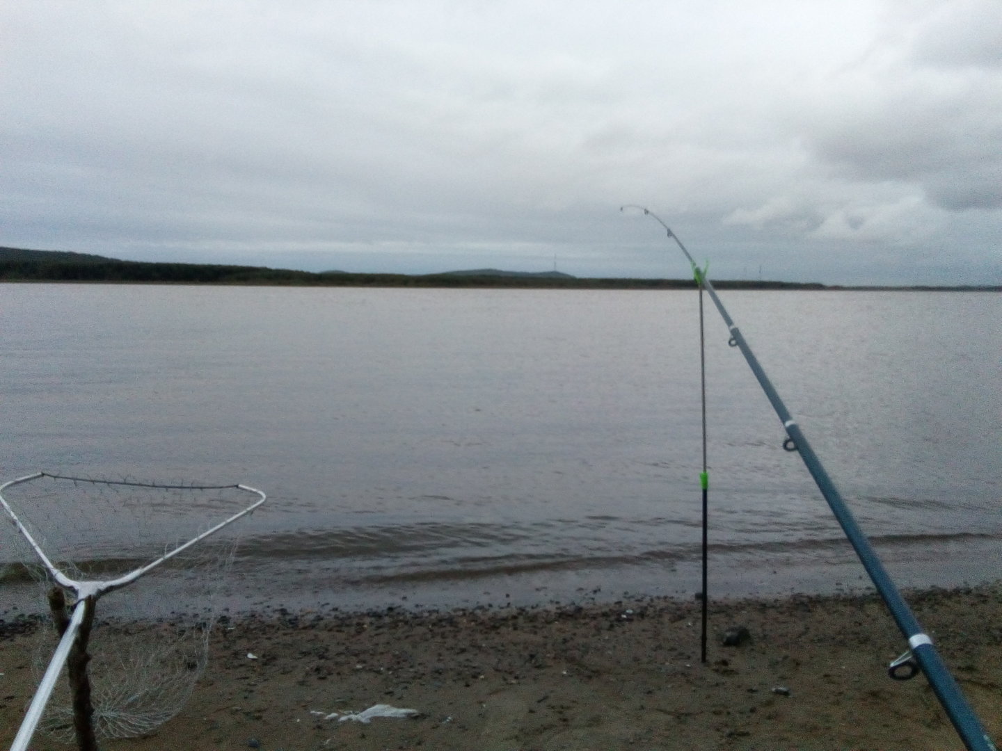 IMG-20200806-WA0017.jpeg