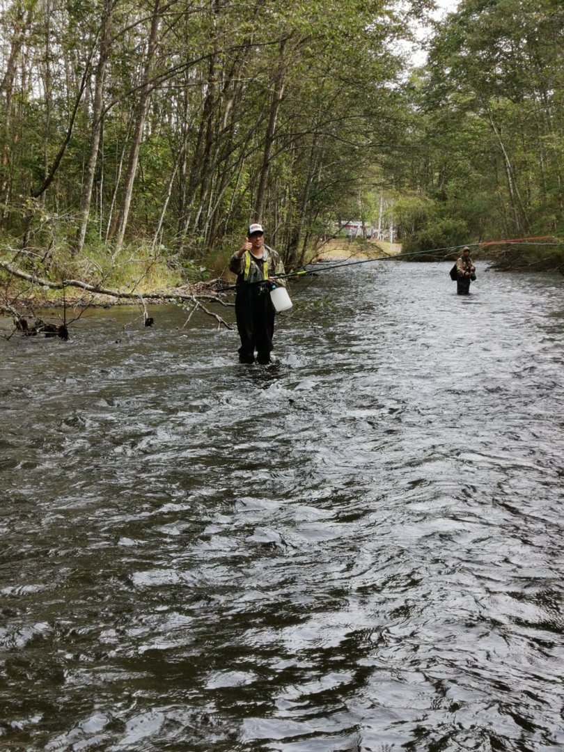 IMG-20200914-WA0145.jpg