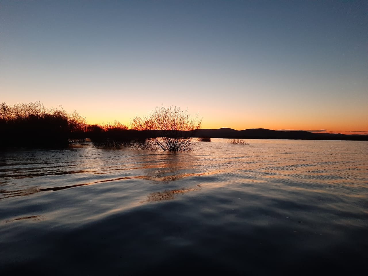 IMG-20201017-WA0015.jpg IMG-20201017-WA0015.jpg