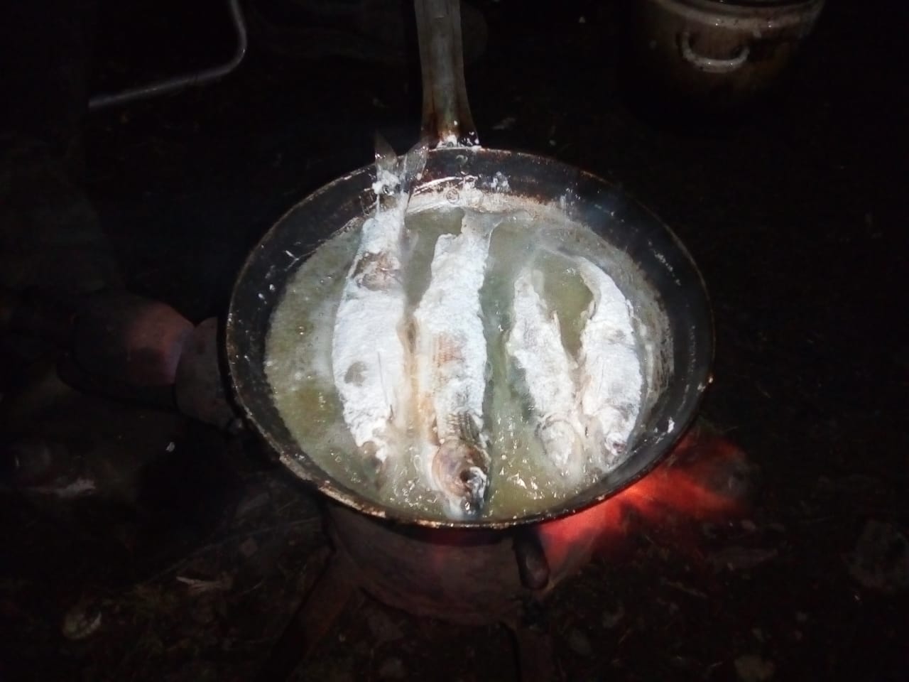 IMG-20201105-WA0001.jpg