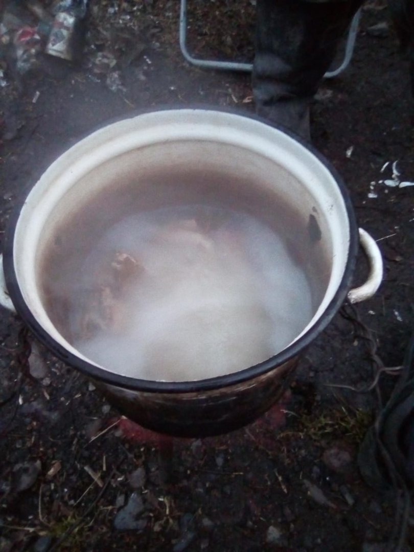 IMG-20201105-WA0004.jpg