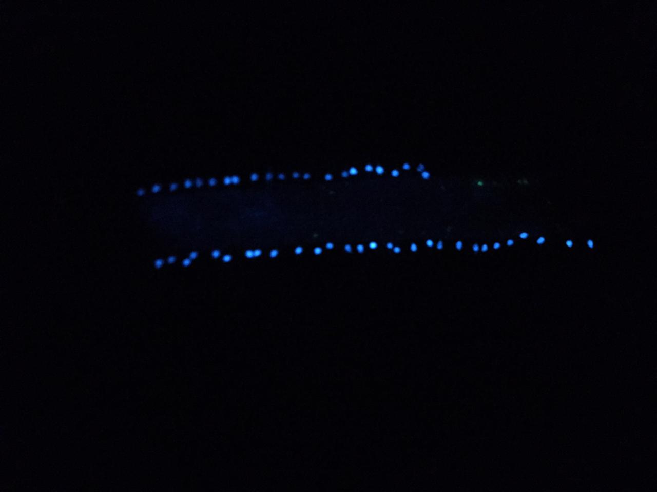 IMG-20201108-WA0033.jpg