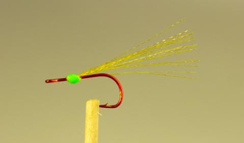 IMG-20201125-WA0052.jpg