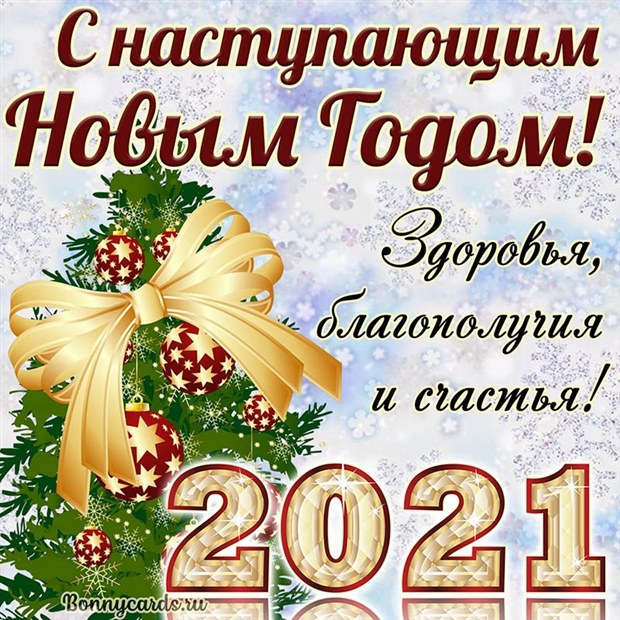 IMG-20201231-WA0014.jpg