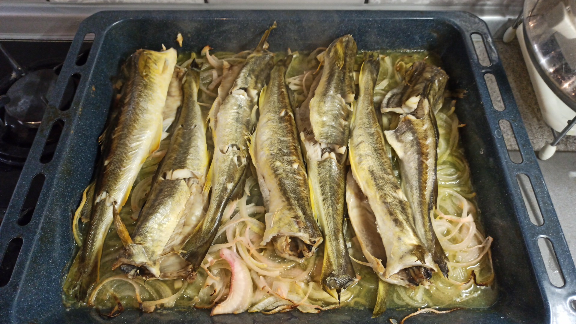IMG-20210126-WA0008.jpeg