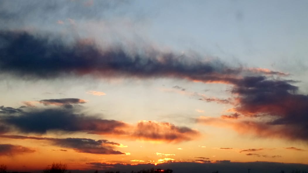 IMG-20210424-WA0006.jpg