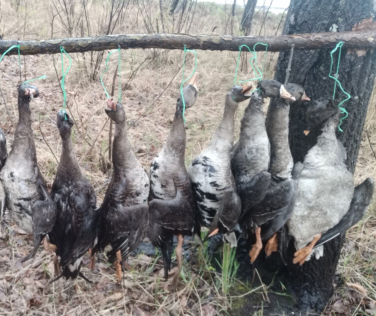 IMG-20210505-WA0003 (1).jpeg