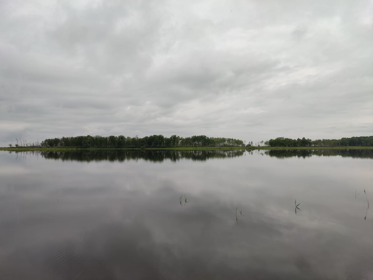 IMG-20210718-WA0006.jpg