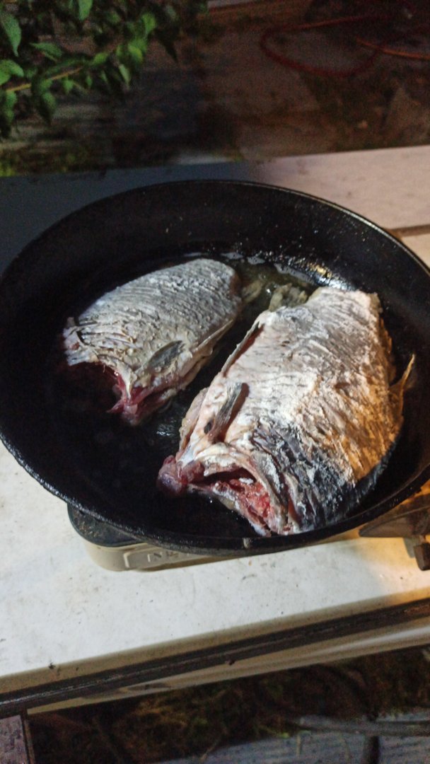 IMG-20210803-WA0012.jpeg