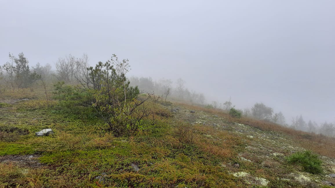 IMG-20210911-WA0010.jpg