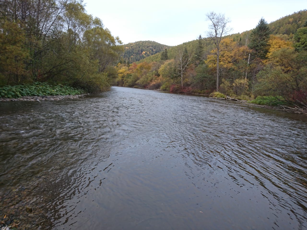 IMG-20210928-WA0000.jpg