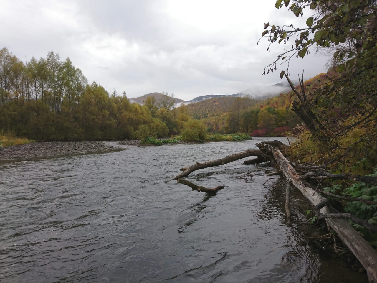 IMG-20210928-WA0074.jpg