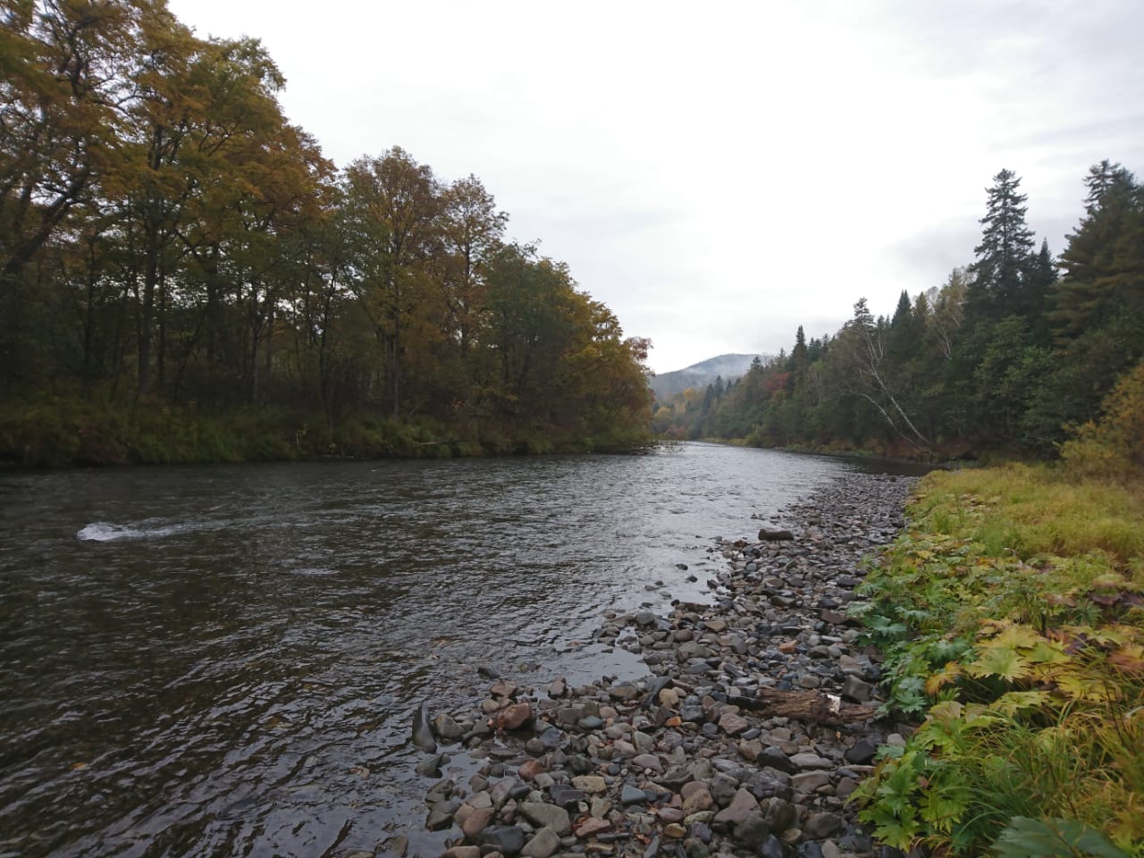 IMG-20210928-WA0080.jpg