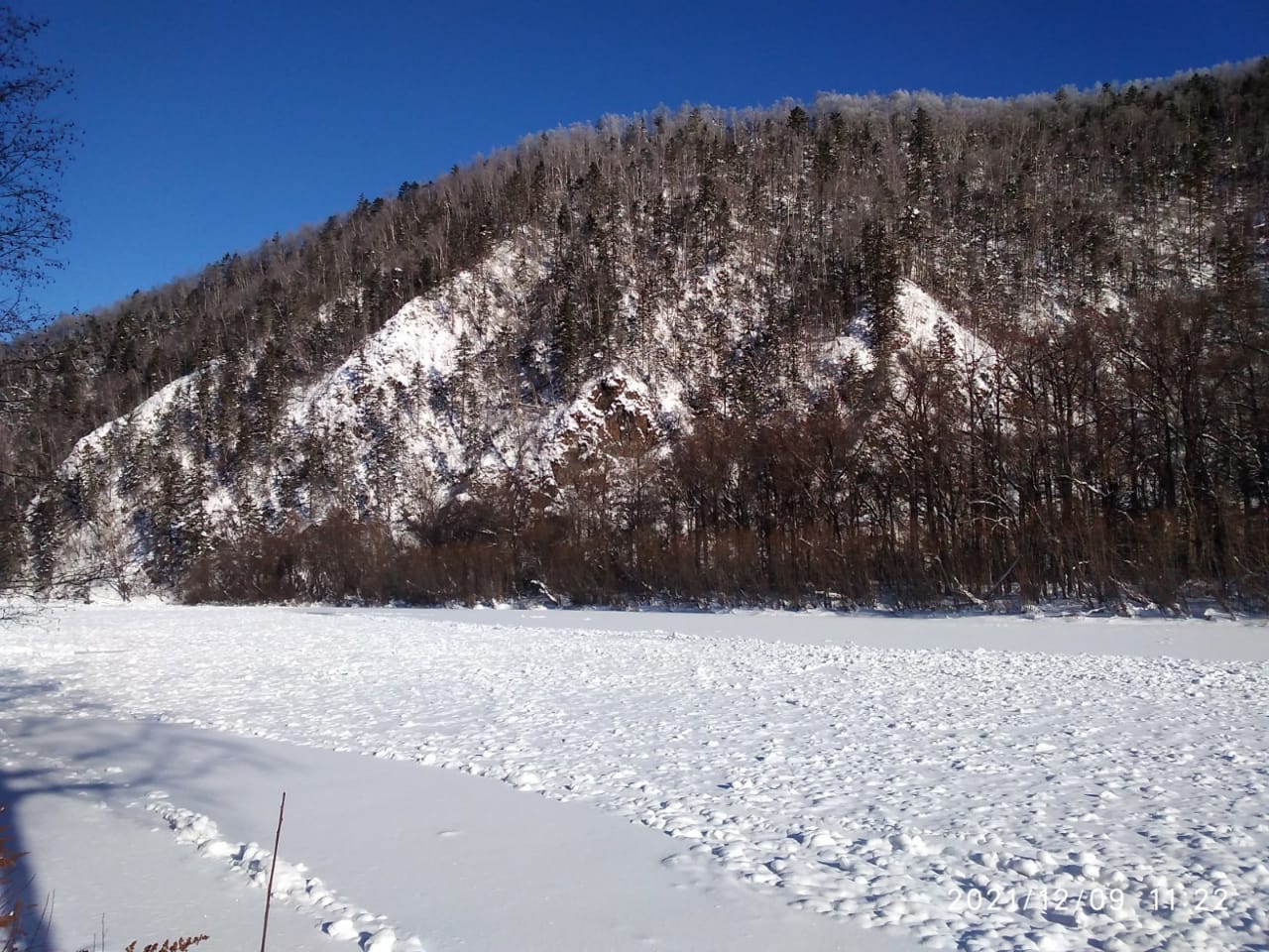 IMG-20211209-WA0003.jpg