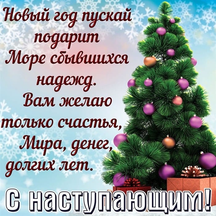IMG-20211231-WA0011.jpg