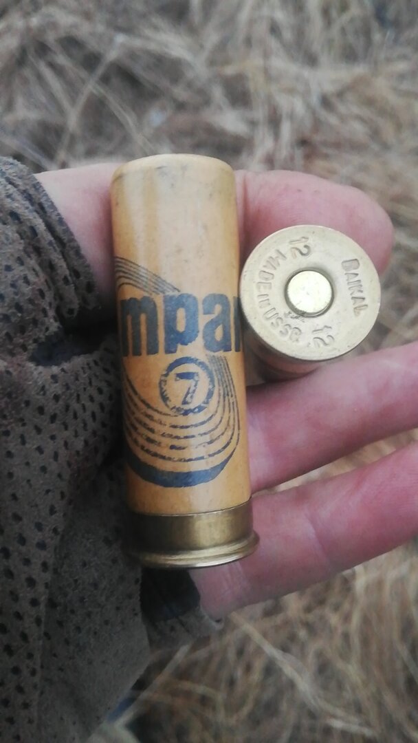 IMG-20220421-WA0006.jpeg
