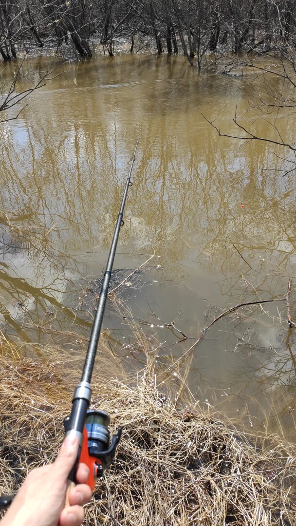 IMG-20220423-WA0012.jpeg