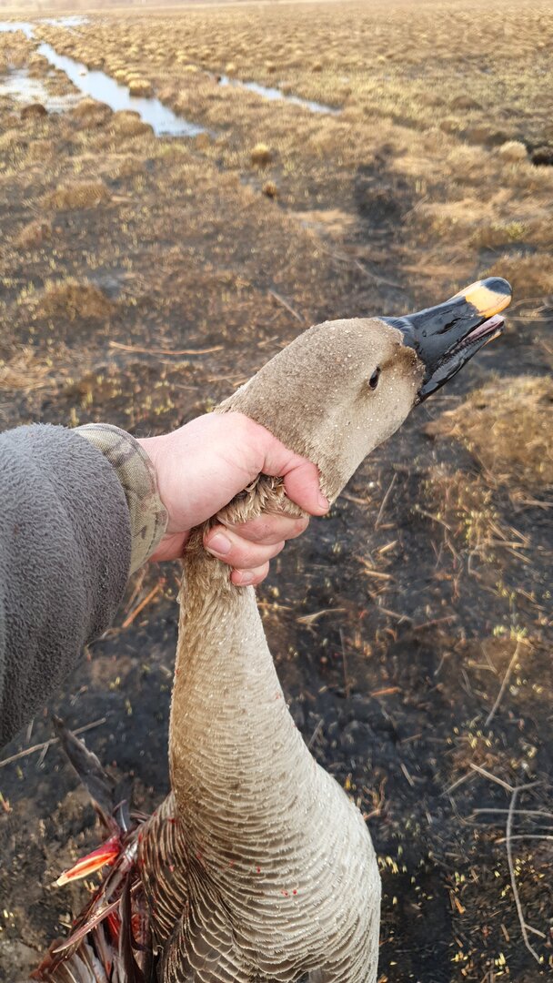 IMG-20220425-WA0000.jpeg