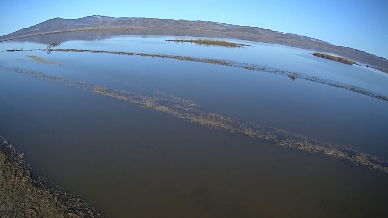 IMG-20220512-WA0018.jpg