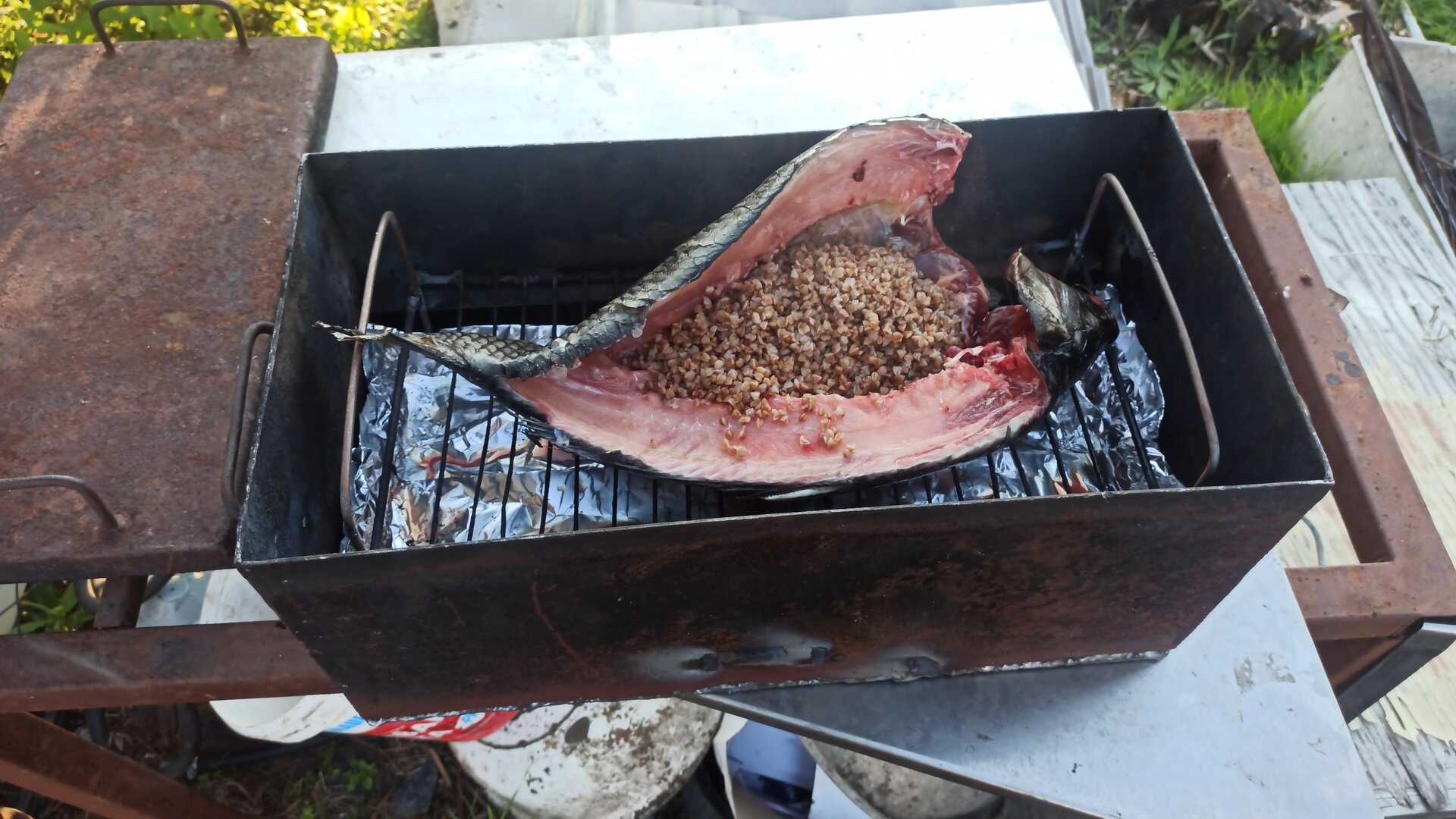 IMG-20220605-WA0070.jpeg