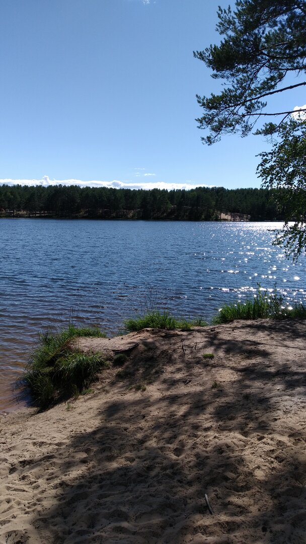 IMG-20220730-WA0037.jpeg