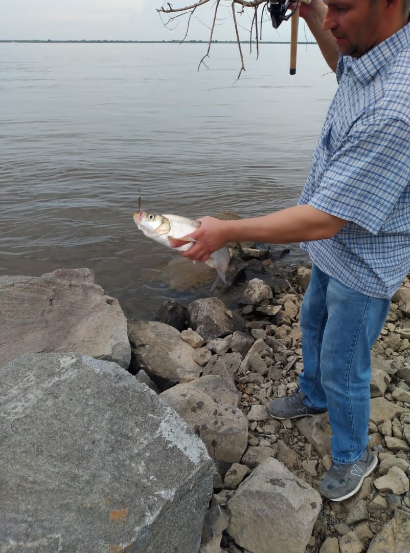 IMG-20220807-WA0005.jpg